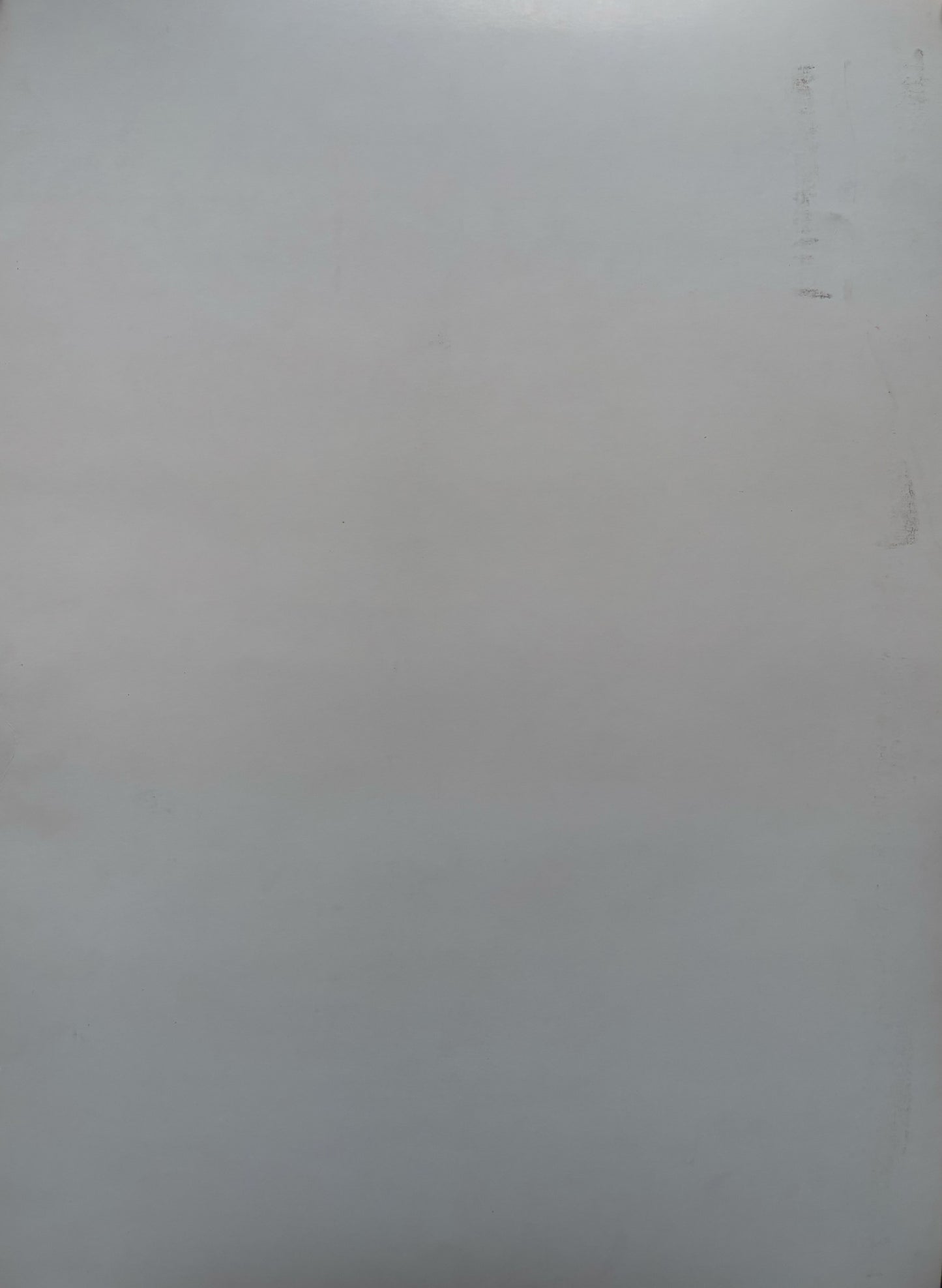 TOOL SIGNED/REMARQUED POSTER | "UNDERTOW/COW"