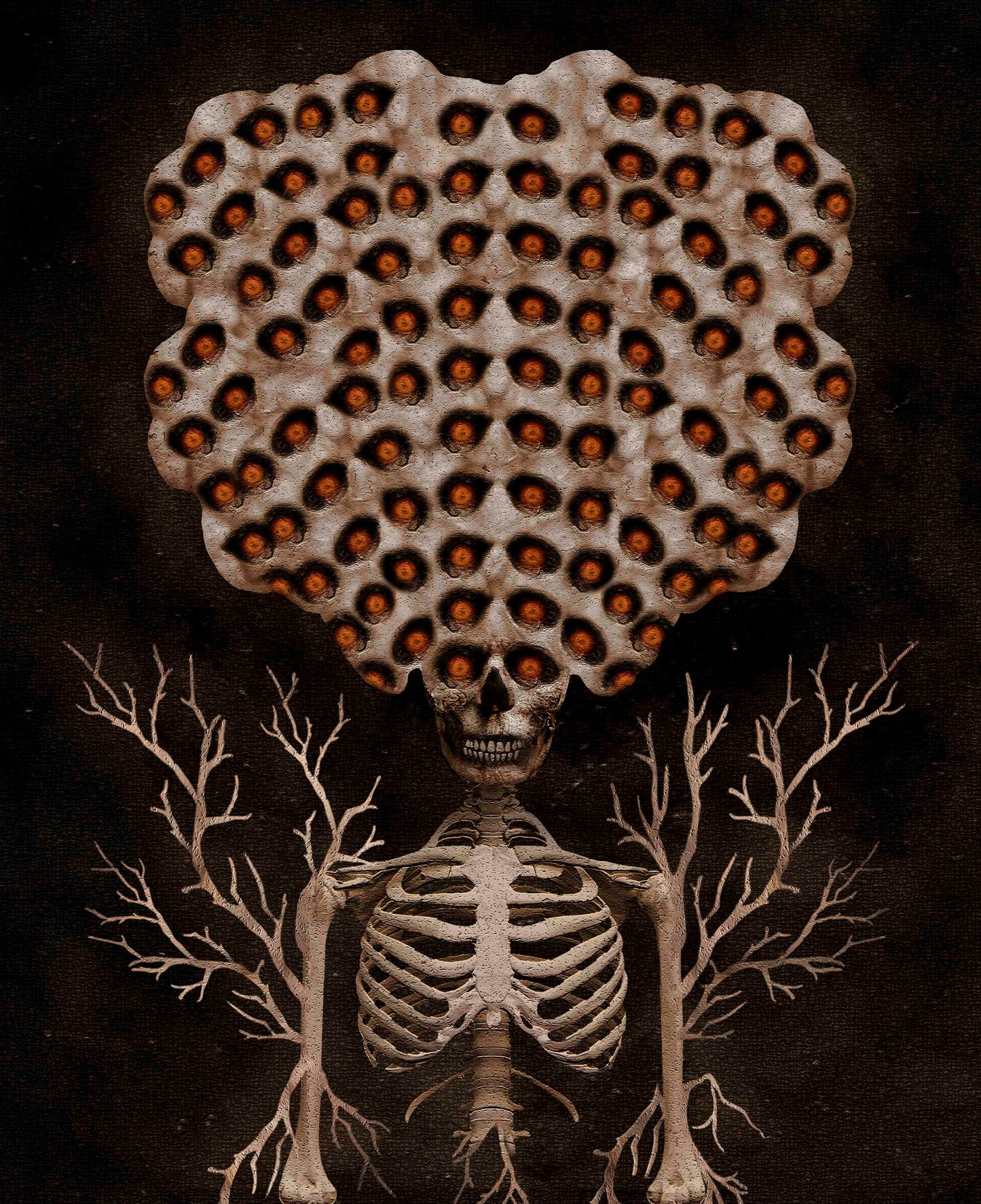 "TREEPOPHOBIA" | PRINT
