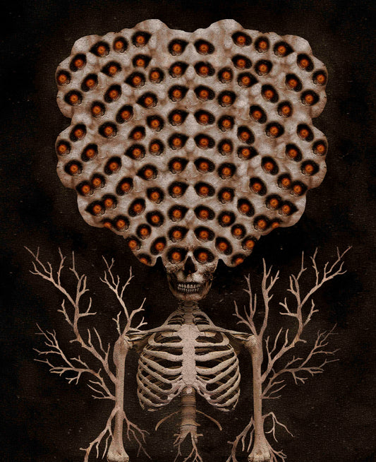 "TREEPOPHOBIA" | PRINT