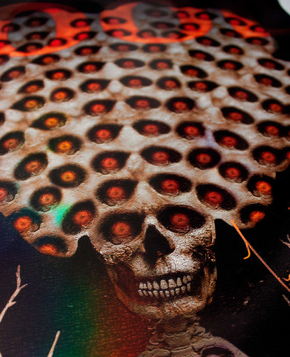 TOOL OFICIAL POSTERS ASSINADOS/REMARCADOS | OLSO, NO | EDIÇÃO LIMITADA